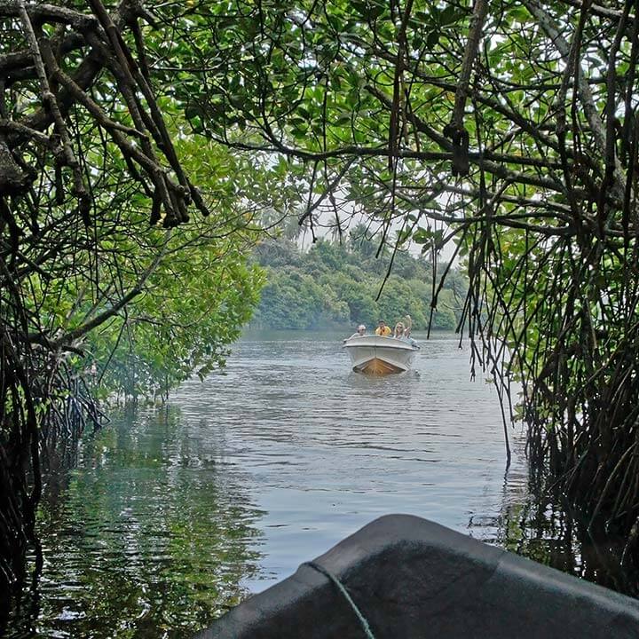 Bentota River