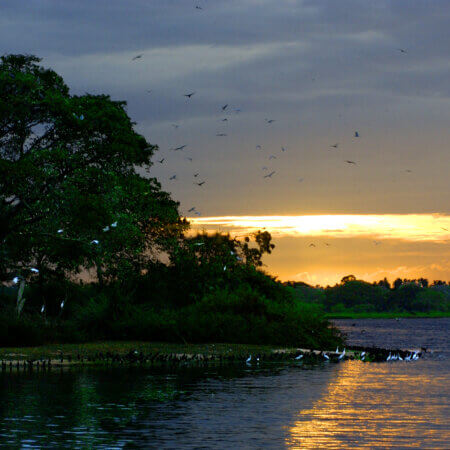 Bundala National Park