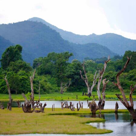 Gal Oya National Park