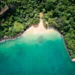Jungle Beach