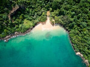 Jungle BeachJungle Beach