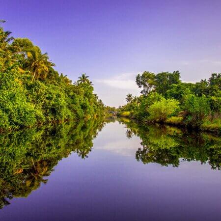 Muthurajawela Marsh