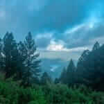 Wewathenna – Matale