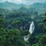 Devon WaterFall View Point