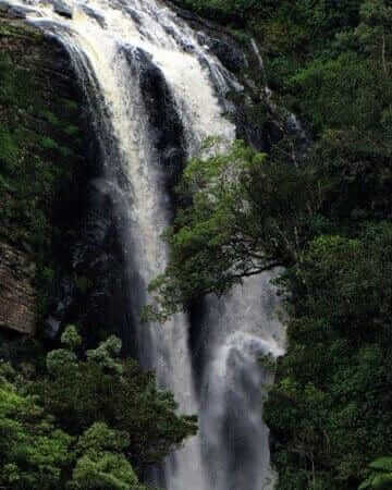 Elgin Falls View Point