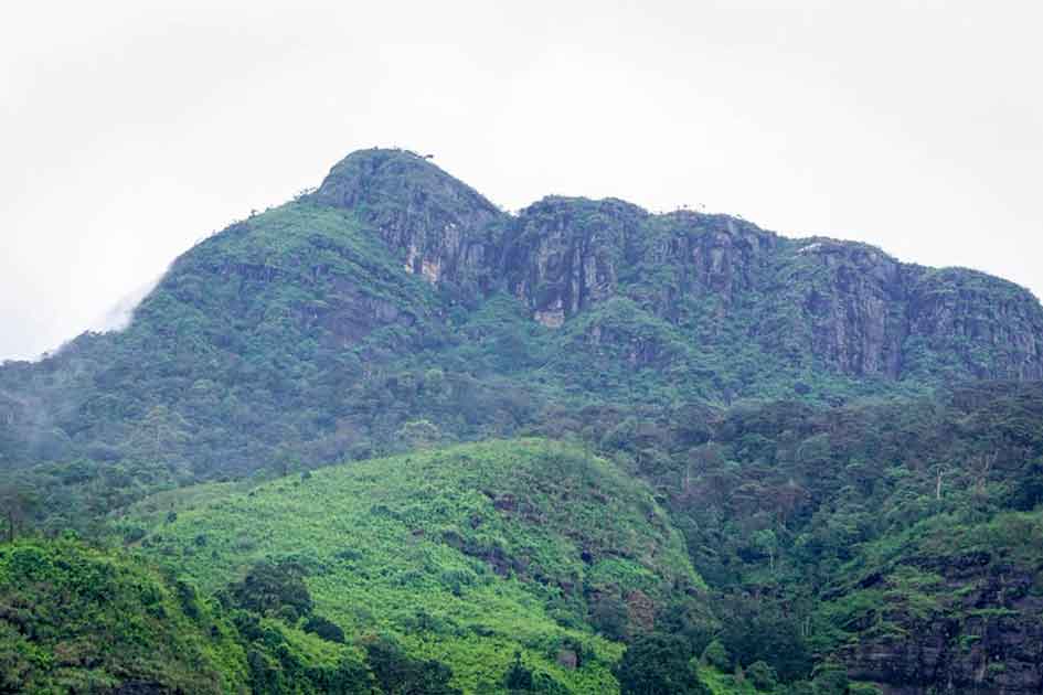 Great Western Mountain