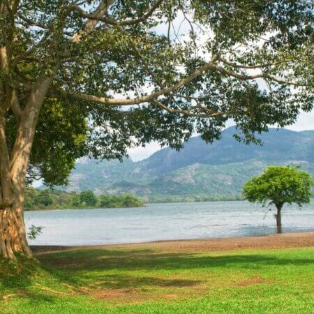 Kandalama Reservoir