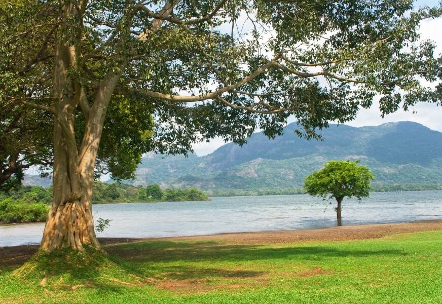 Kandalama Reservoir