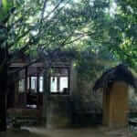 Popham’s Arboretum