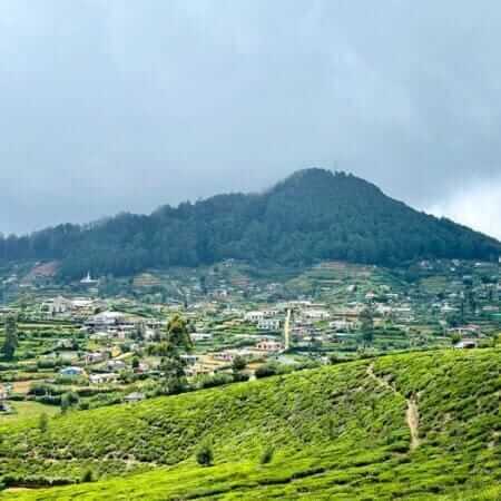 Shanthipura View Point