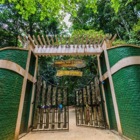 Udawatta Kele Sanctuary