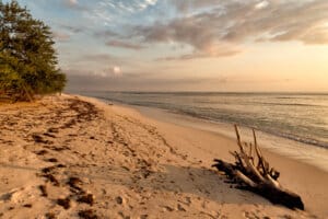 Boossa Beach