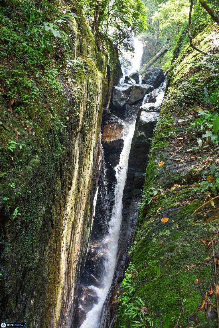 Gal Oruwa Ella Water Fall