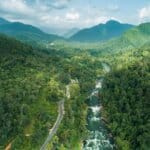 Kottawa Reserve Forest