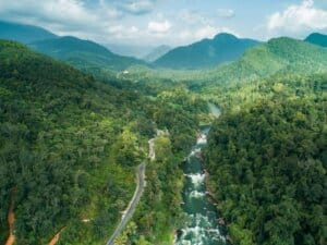 Kottawa Reserve Forest