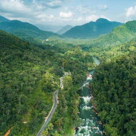 Kottawa Reserve Forest
