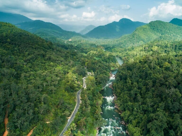 Kottawa Reserve Forest